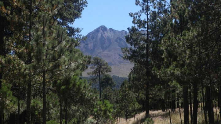 Montañistas alertan por riesgo de que áreas naturales protegidas sean controladas por el crimen organizado