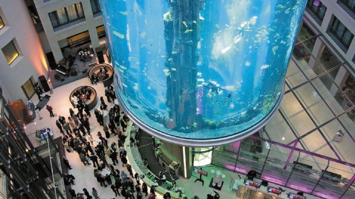 Estalla el acuario cilíndrico más grande del mundo dentro del Radisson de Berlín (Video)