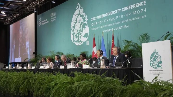 Conferencia ONU logra un acuerdo histórico de biodiversidad