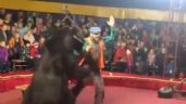 Se viraliza el ataque de un oso a su domador en un circo en Rusia (Video)