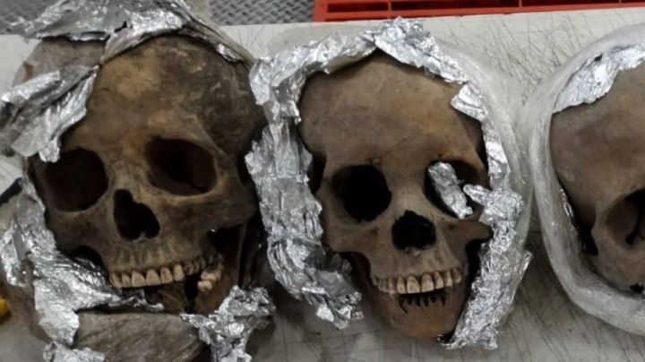 Interceptan paquete con cuatro cráneos humanos que serían enviados a EU