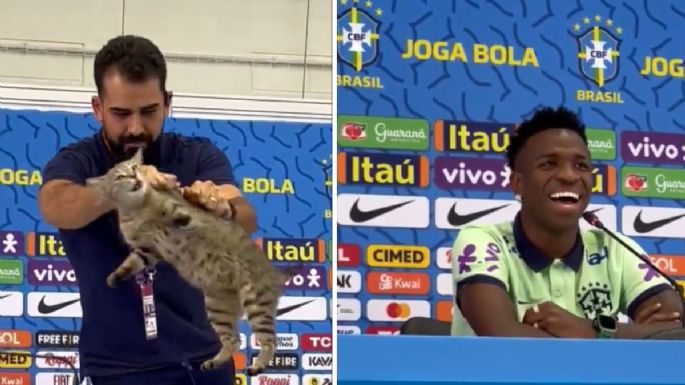 Avientan a gato que se coló a conferencia de Vinicius Jr.; se desata polémica en redes (Video)