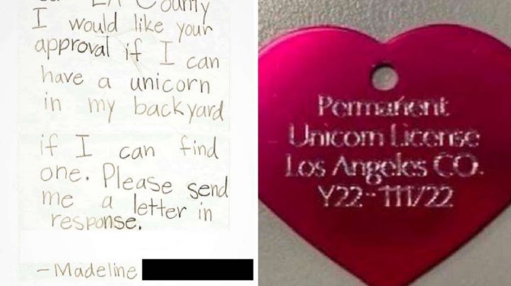California: Autorizan a niña tener un unicornio de mascota