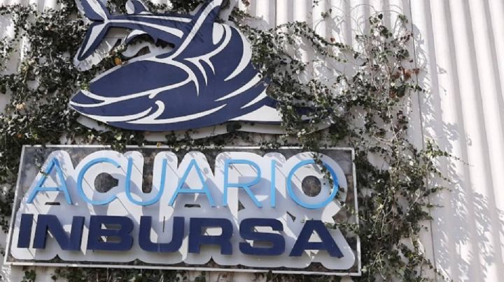 Bióloga marina muere ahogada en el Acuario Inbursa