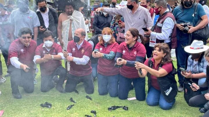 Alcaldes morenistas liberan a ajolotes... y terminan denunciados ante la Procuraduría Ambiental