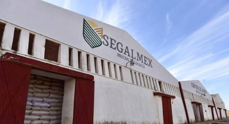 INAI ordena a Segalmex transparentar la recuperación de 950 mdp por compra de certificados