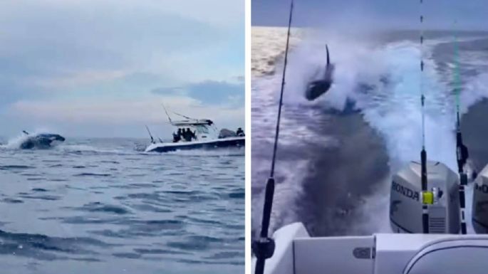 Orca persigue una embarcación con turistas en Sinaloa (Video)