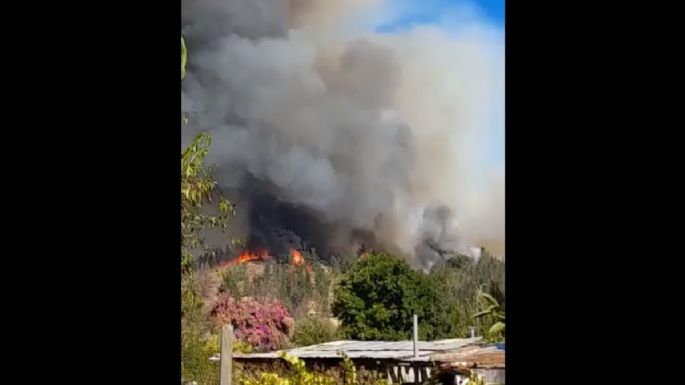 El humo complica el combate a los incendios forestales en Chile