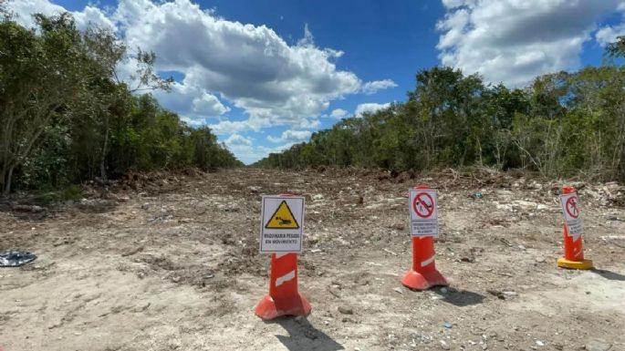 Fonatur omite presentar los permisos ambientales de tres tramos del Tren Maya
