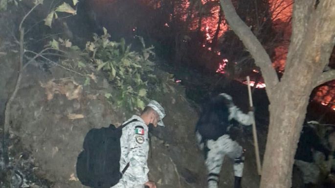 Incendio en Tepoztlán consume 80 hectáreas de bosque