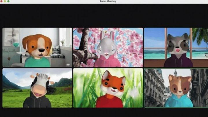Zoom lanza nuevos avatares, usuarios podrán ser un perro, gato, zorro, conejo y hasta un mapache