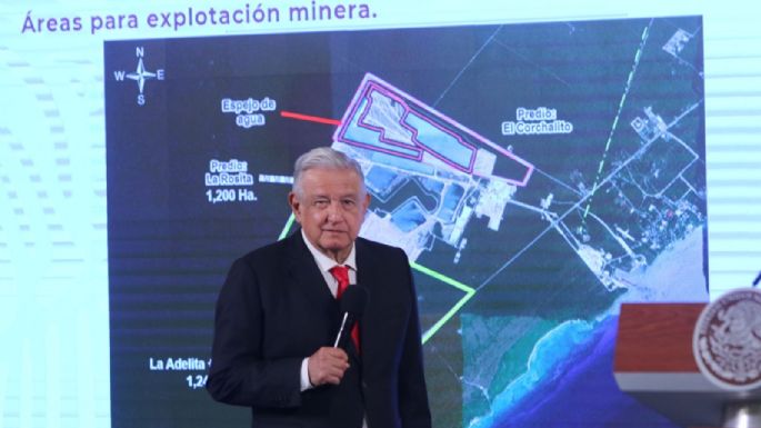 AMLO a famosos por el Tren Maya: "No distinguen entre monte alto y el árbol Cacahual"