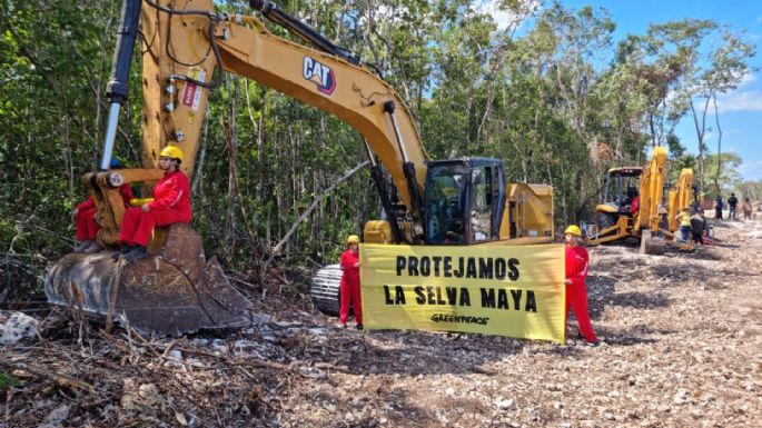 Ambientalistas frenan simbólicamente trabajos del tramo 5 del Tren Maya