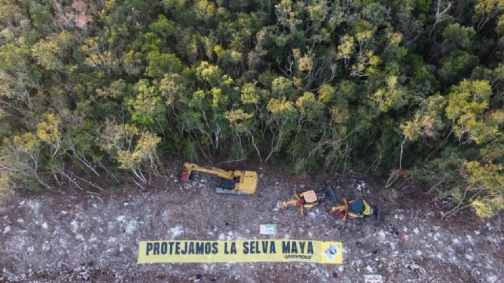 Ambientalistas frenan simbólicamente trabajos del tramo 5 del Tren Maya