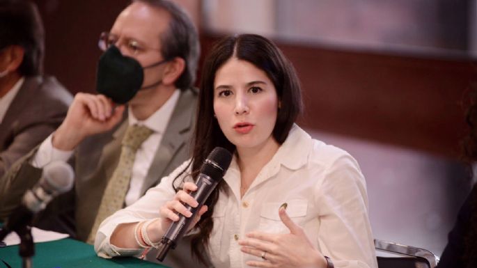 He sido expulsada por no seguir ciega obediencia: diputada del PVEM que votó contra reforma eléctrica