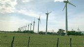 Comunidad pide a Bartlett cancelar contrato con Electricité de France por parque eólico en Oaxaca