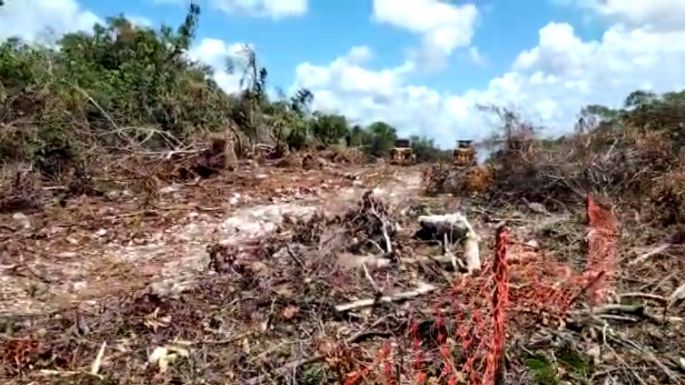 Trabajos del Tren Maya tramo 5 sur, entre Playa del Carmen y Tulum, fueron suspendidos (Videos)