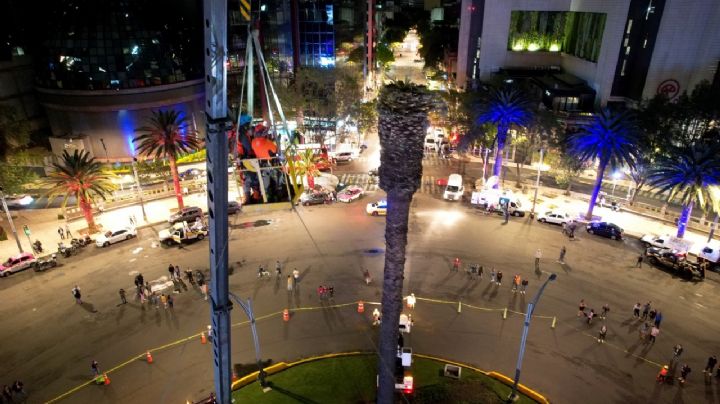 Así fue retirada la palma durante la madrugada