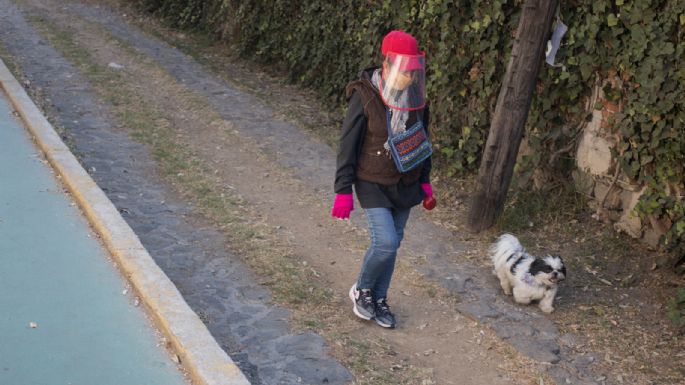 Un perro contagió de covid-19 a una familia en la Ciudad de México