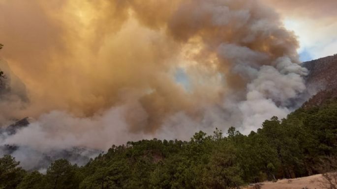 Avión de la Fuerza Aérea Mexicana bombardeó nubes en Nuevo León y Tamaulipas