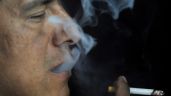 La OMS reclama a los gobiernos a que dejen de subvencionar el cultivo del tabaco