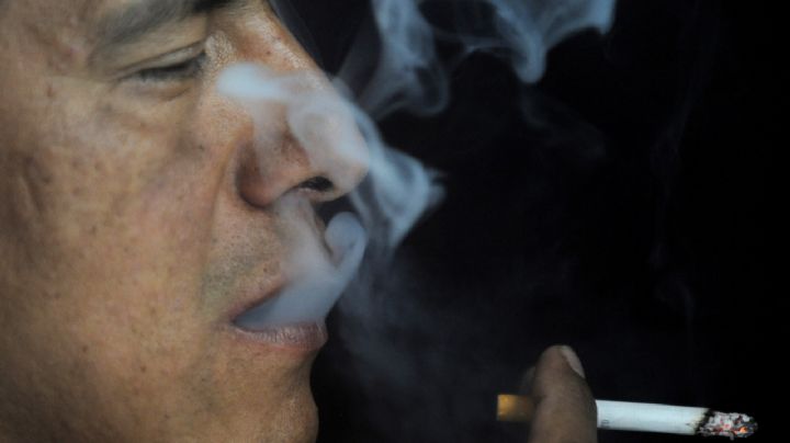 La OMS reclama a los gobiernos a que dejen de subvencionar el cultivo del tabaco