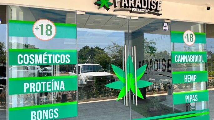 Abren en Tabasco sucursal de “Paradise”, la tienda de mariguana de Fox y Palazuelos
