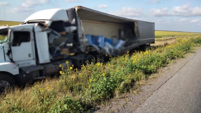 Descubren toneladas de perros y gatos muertos en tráiler accidentado en Tamaulipas