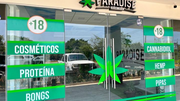 Abren en Tabasco sucursal de “Paradise”, la tienda de mariguana de Fox y Palazuelos