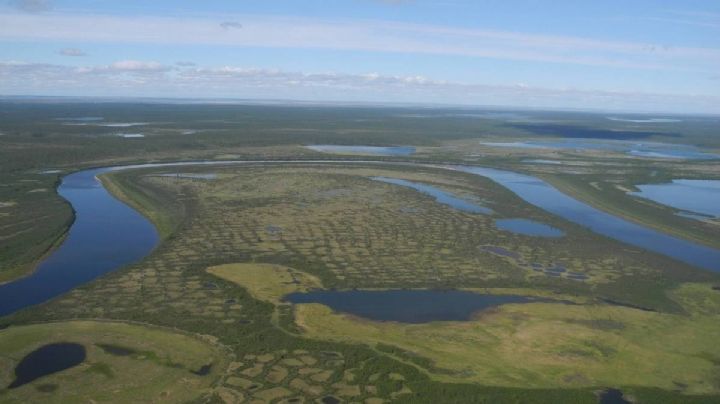 La tundra de Siberia podría desaparecer a mitad del milenio