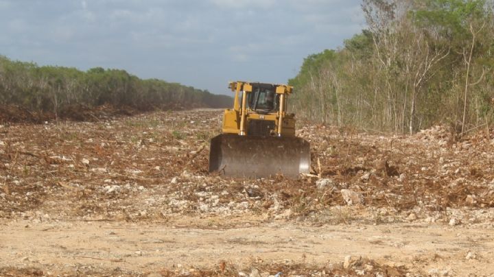 Revés al Tren Maya: juez ordena la suspensión definitiva de las obras en el polémico tramo 5