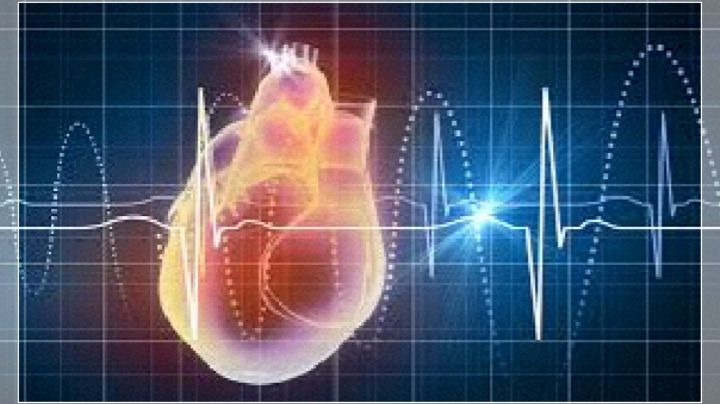 Investigadores de Japón hallan las células inmunitarias que causan infartos potencialmente mortales