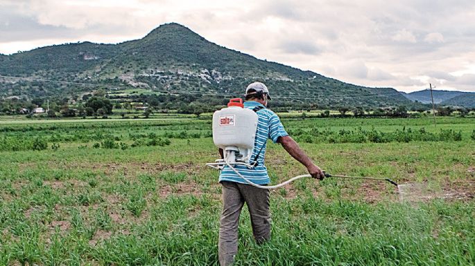 El costoso atorón de los agroquímicos