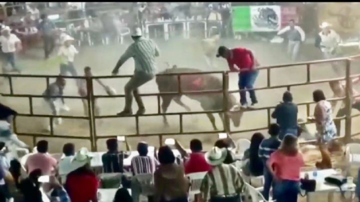 Desaparecen caporales de Guerrero tras llevar toros a un jaripeo en el Edomex