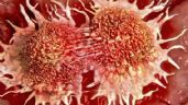 Científicos hallan mecanismo que explica como una célula cancerosa se convierte en una normal