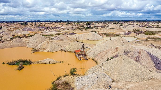 El veneno mexicano que intoxica el Amazonas