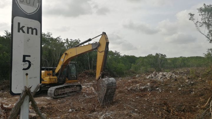 Gobierno realiza nuevo desmonte de selva, sin autorización ambiental, para el paso del Tren Maya