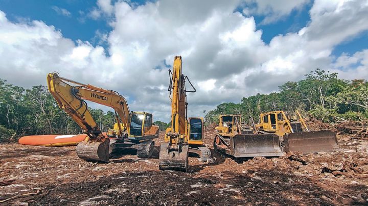 AMLO expropia 8 terrenos privados para obras del Tren Maya y decreta "ocupación temporal inmediata"