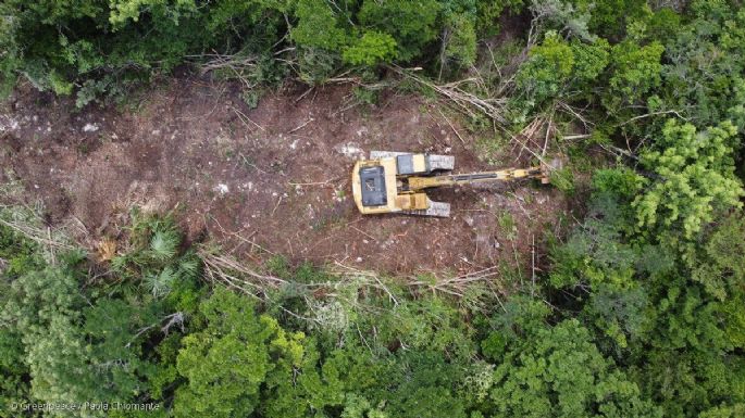 Kenia López: Urge detener obra en el tramo 5 del Tren Maya o funcionarios podrían ser destituidos