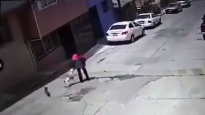 Perro pitbull ataca a una adulta mayor; dueños del animal se niegan a pagar gastos médicos (Video)