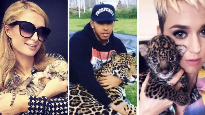 Desde las Kardashian hasta Maluma, los famosos que visitaron Black Jaguar-White Tiger