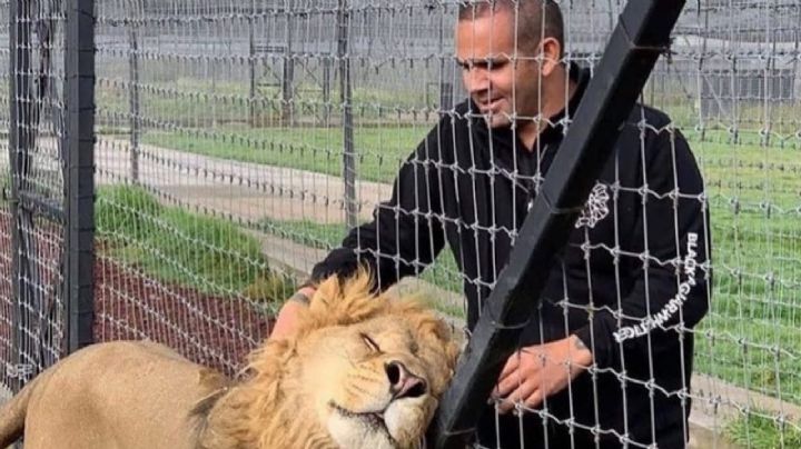 Eduardo Serio, fundador de Black Jaguar-White Tiger, niega maltrato animal en refugio del Ajusco