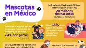 Tips a considerar antes de contratar un seguro de mascotas