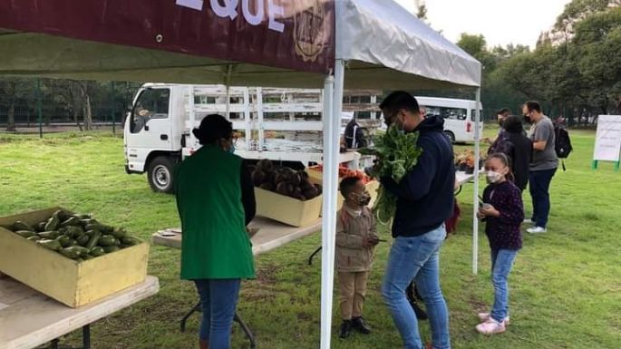 Así puedes cambiar cuadernos, libros y cartoncillos por plantas en el mercado del Trueque