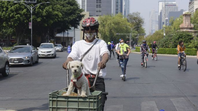 Esta es la ruta del Paseo Ciclista en CDMX para este domingo