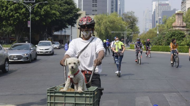 Esta es la ruta del Paseo Ciclista en CDMX para este domingo