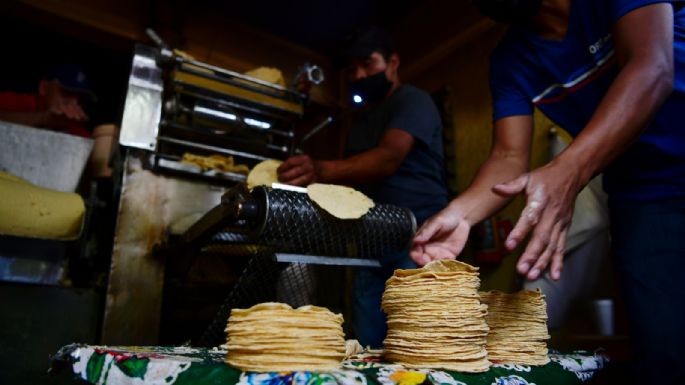 "Nada más saben subirle": Profeco responsabiliza a Maseca por altos precios de la tortilla