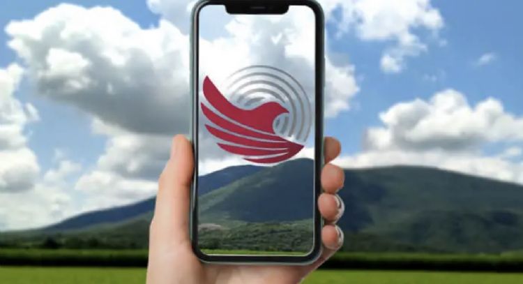 Internet CFE: estos son los 3 planes disponibles para conectarte