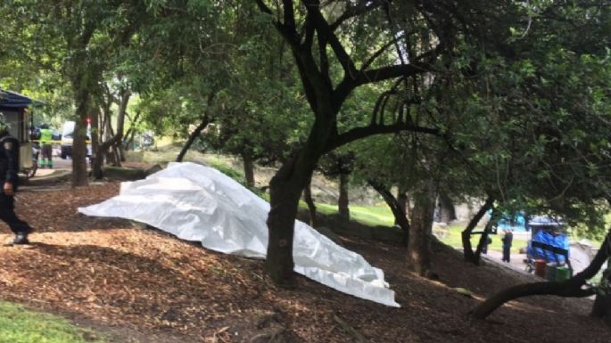 Hallan el cadáver de un hombre flotando en el Lago del Bosque de Chapultepec