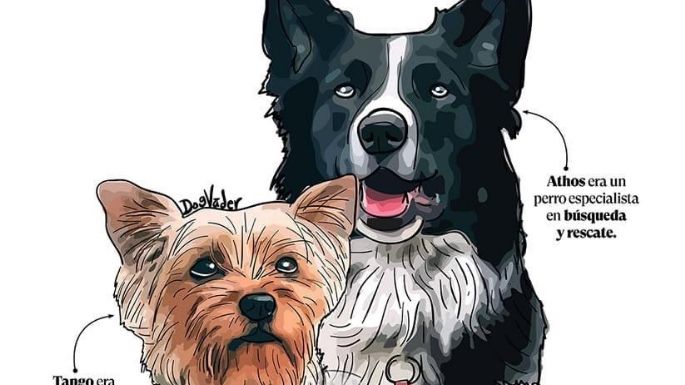 ¡Histórico! Inicia primer juicio de maltrato animal por asesinato de perros Athos y Tango